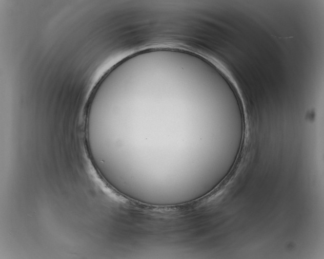 X0000112151053200908070958