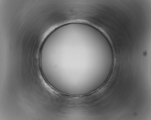 X0000112151054200908070958