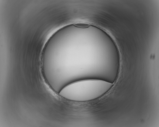 X0000112151056200908070958