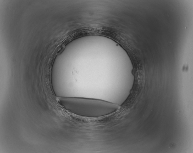 X0000112151057200908070957