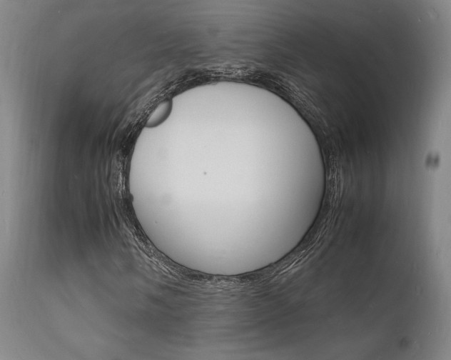 X0000112151058200908070957