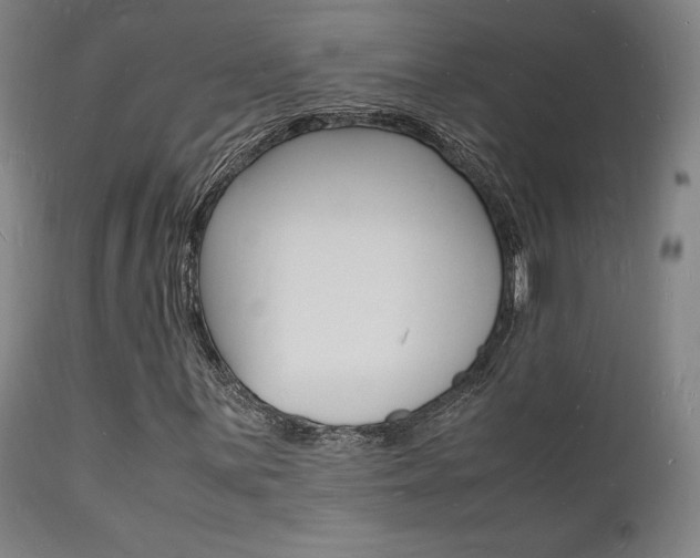 X0000112151059200908070957