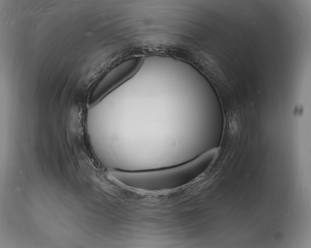 X0000112151060200908070957