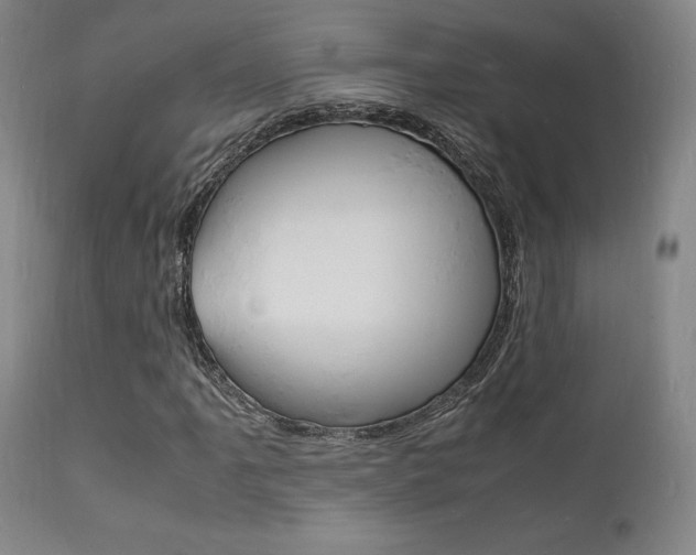 X0000112151061200908070957
