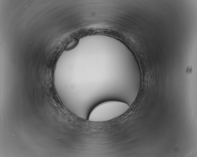 X0000112151062200908070957