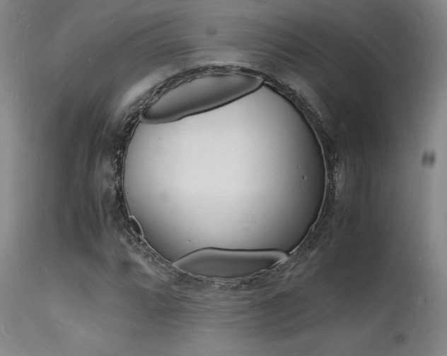 X0000112151064200908070957