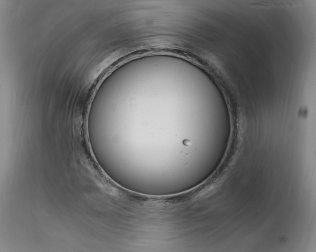 X0000112151065200908070957