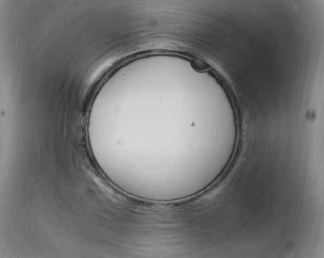X0000112151067200908070957