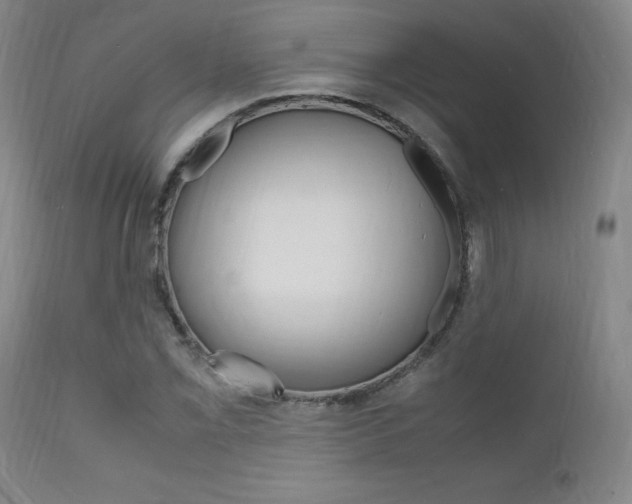 X0000112151069200908070957