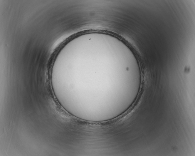 X0000112151070200908070957