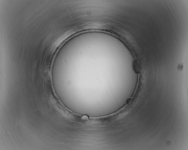 X0000112151073200908070957