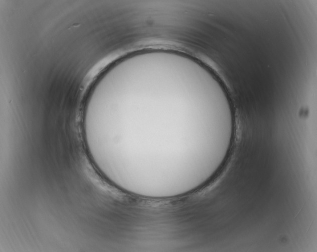 X0000112151074200908070957