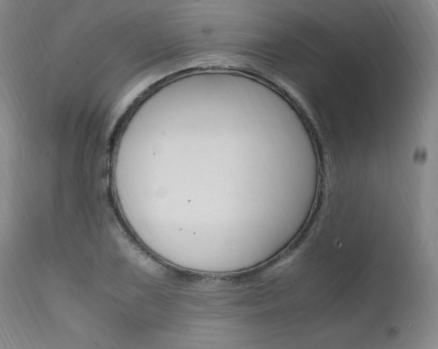 X0000112151075200908070957