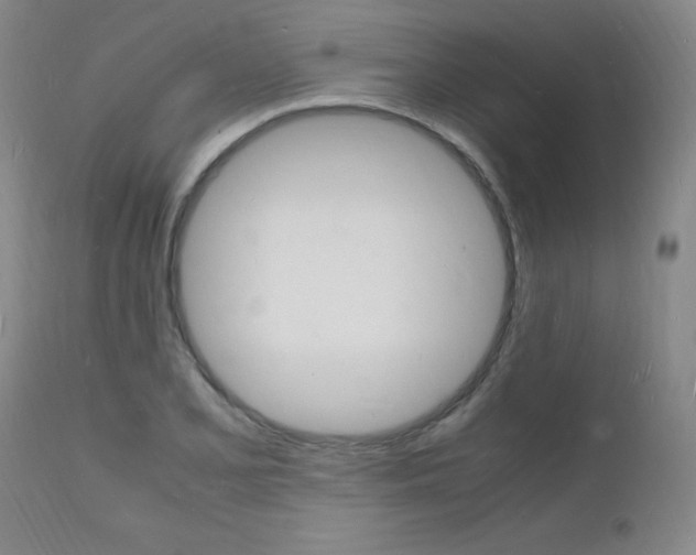 X0000112151077200908070957