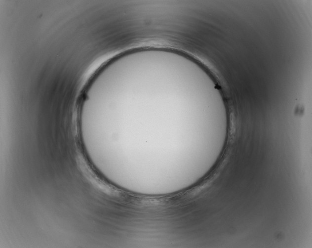 X0000112151078200908070957