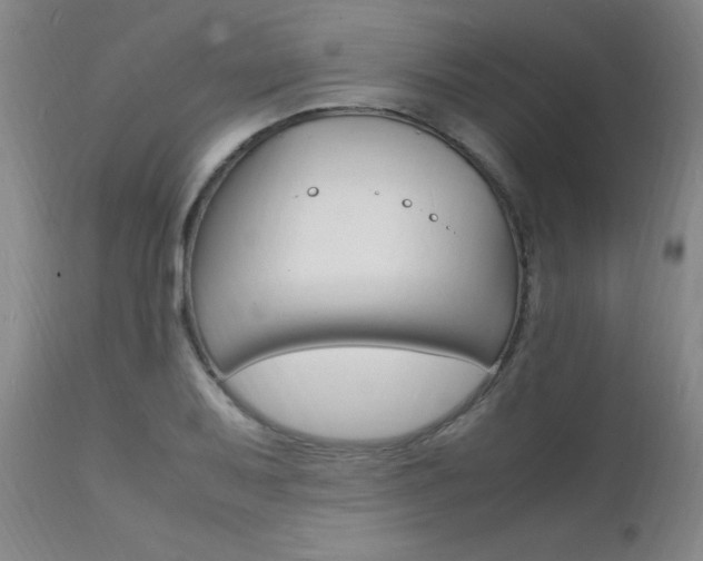 X0000112151079200908070957