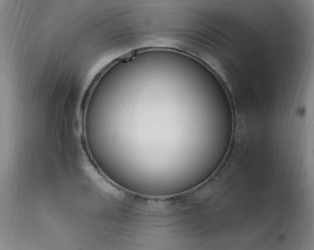 X0000112151080200908070957