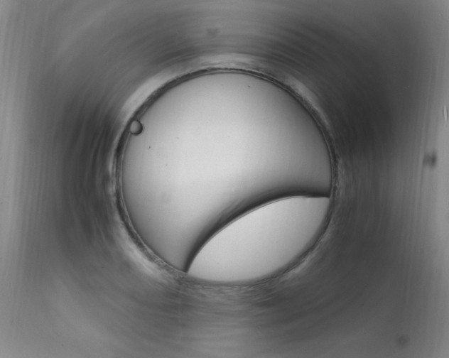 X0000112151082200908070957