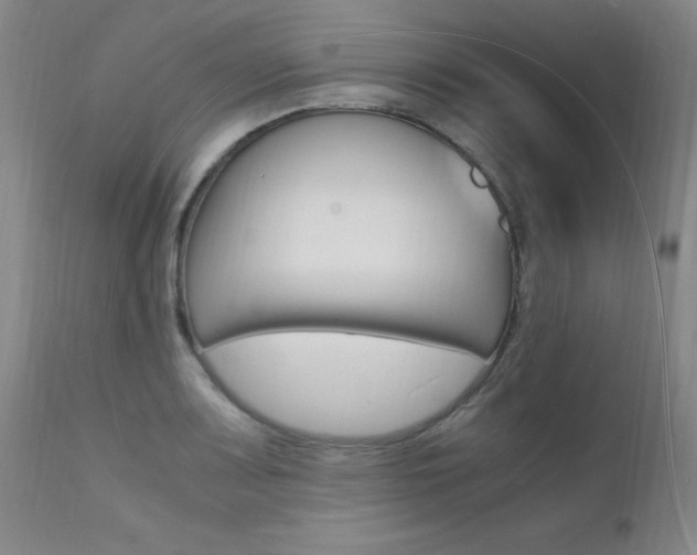 X0000112151083200908070957