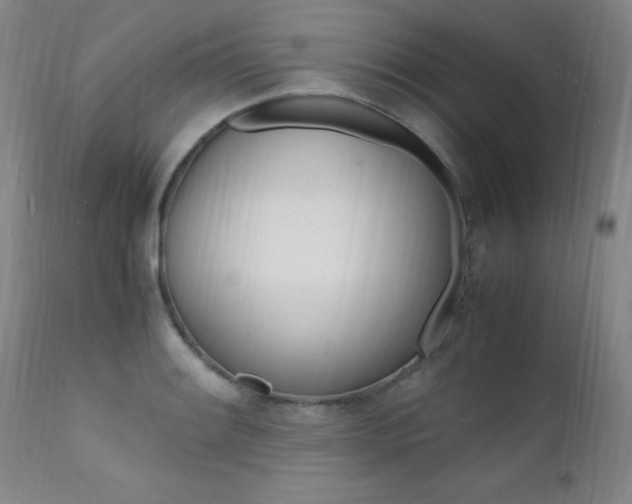 X0000112151084200908070957