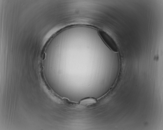 X0000112151085200908070957