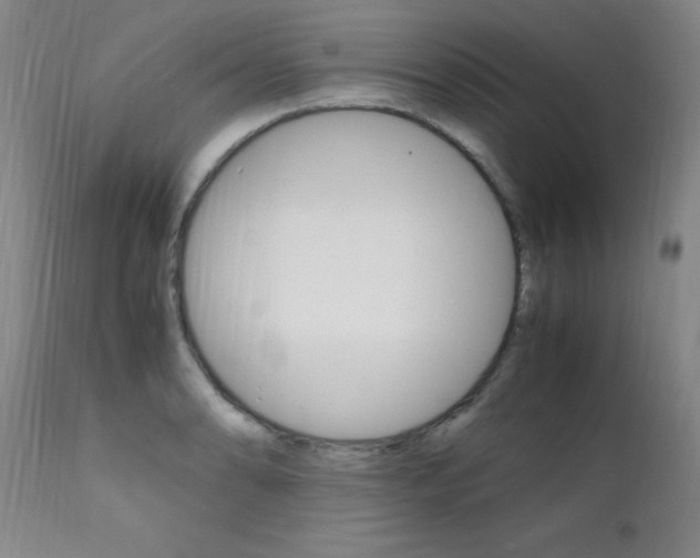 X0000112151086200908070957