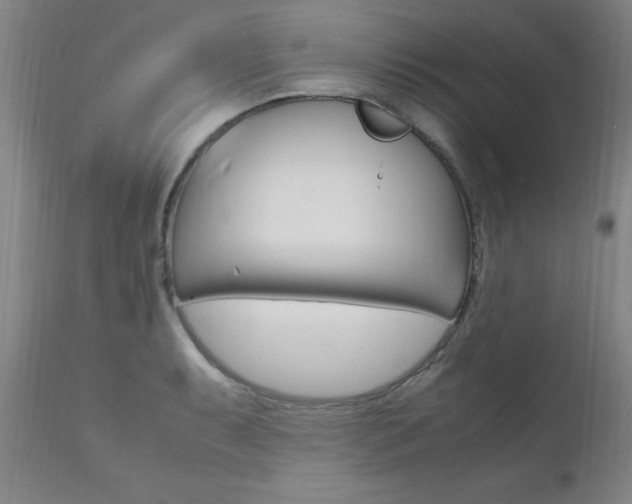 X0000112151087200908070957