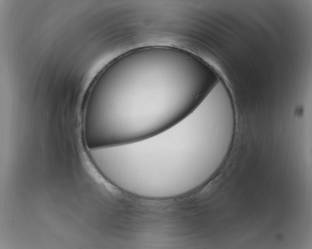 X0000112151088200908070957