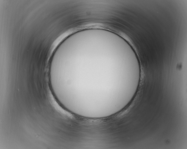 X0000112151090200908070957
