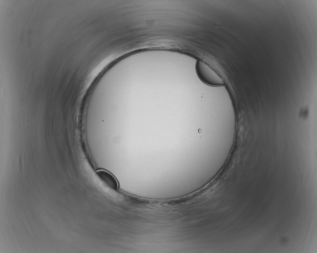 X0000112151091200908070957