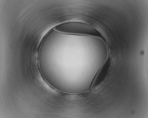X0000112151092200908070957