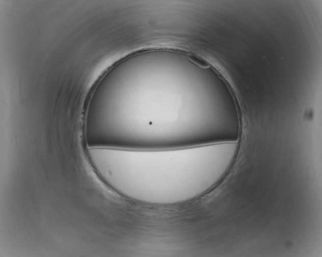 X0000112151093200908070957