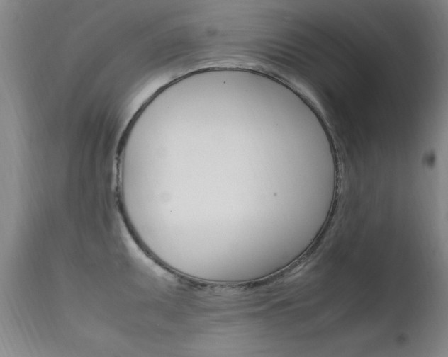 X0000112151095200908070957