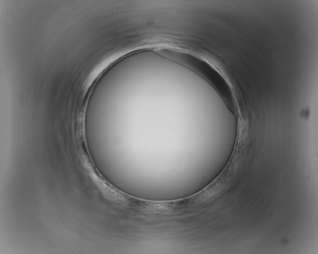 X0000112151101200908070957