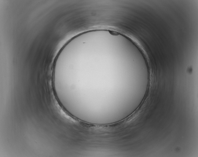 X0000112151102200908070957