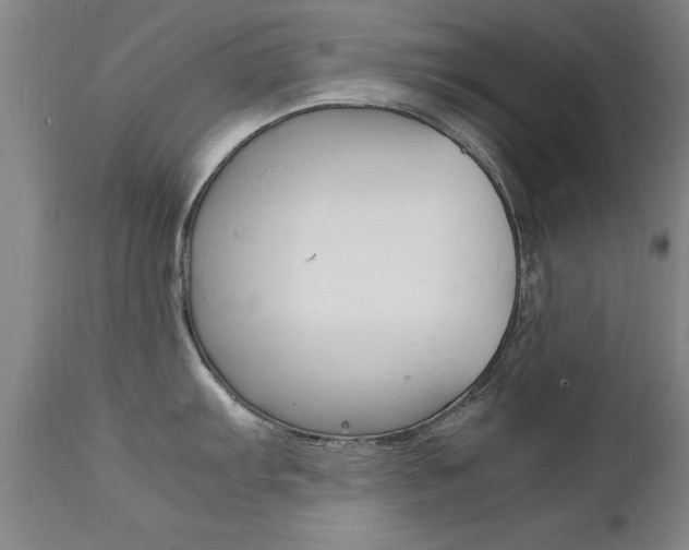 X0000112151103200908070957