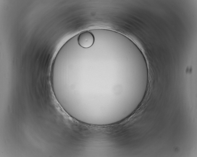 X0000112151104200908070957
