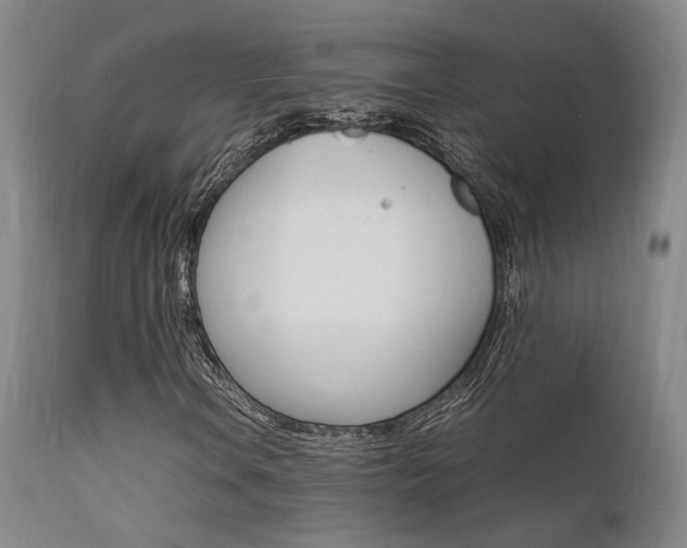 X0000112151106200908070956