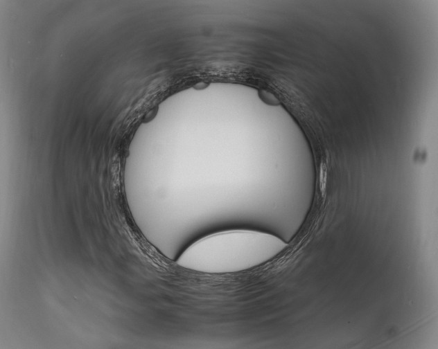 X0000112151107200908070956