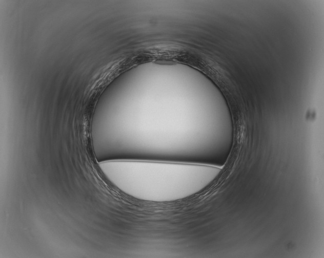X0000112151108200908070956