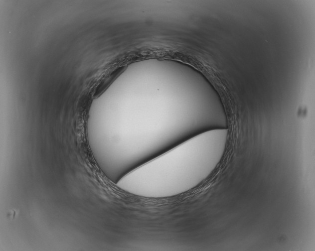 X0000112151109200908070956