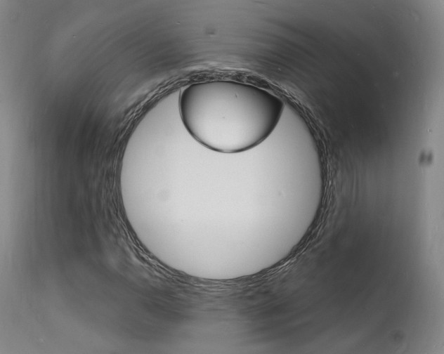 X0000112151110200908070956