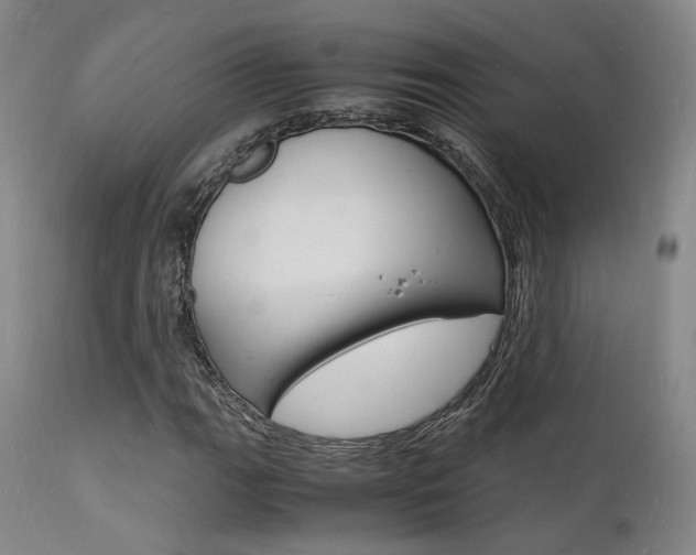X0000112151111200908070956