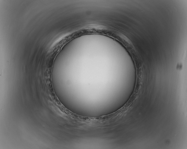X0000112151112200908070956