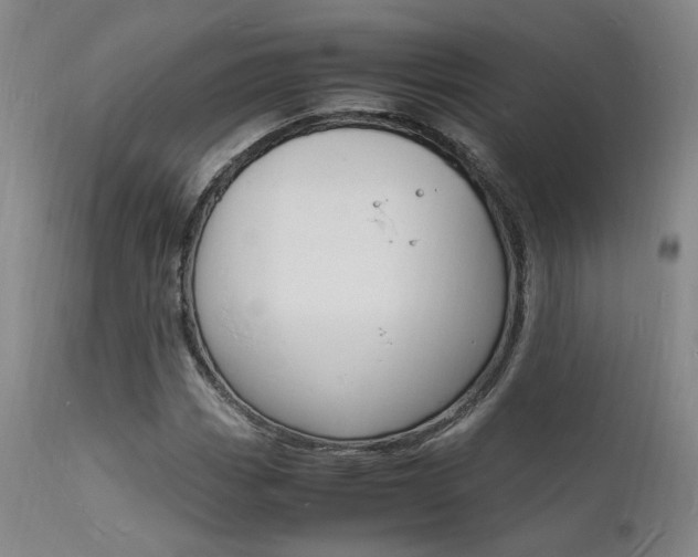 X0000112151113200908070956