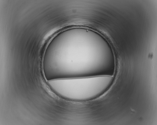 X0000112151114200908070956