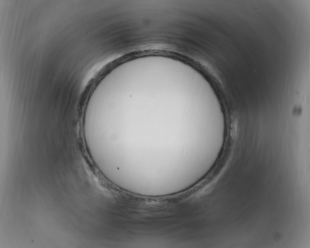 X0000112151117200908070956