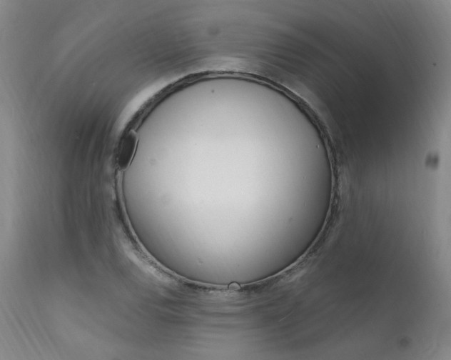 X0000112151120200908070956