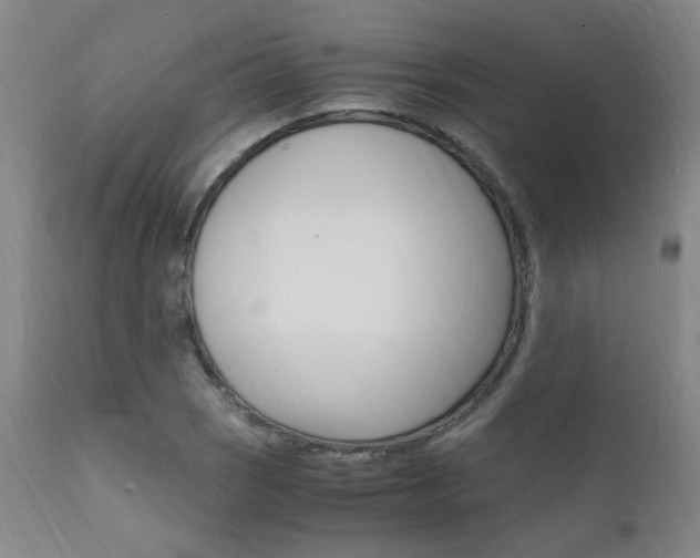 X0000112151121200908070956