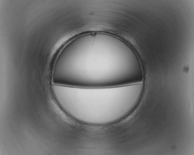 X0000112151122200908070956